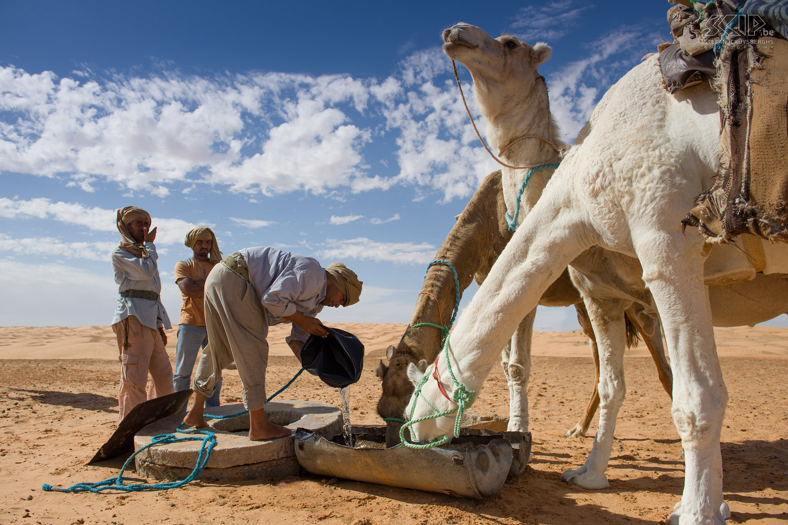 Drinkende kamelen aan een kleine waterbron Tijdens onze derde dag in de woestijn kwamen we voorbij een kleine waterbron. Daar kregen onze 6 dromedarissen volop te drinken. Stefan Cruysberghs